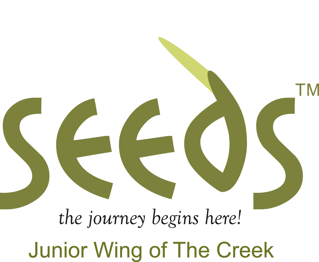 TCSS Logo